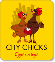 City Chicks - Eggs on Legs